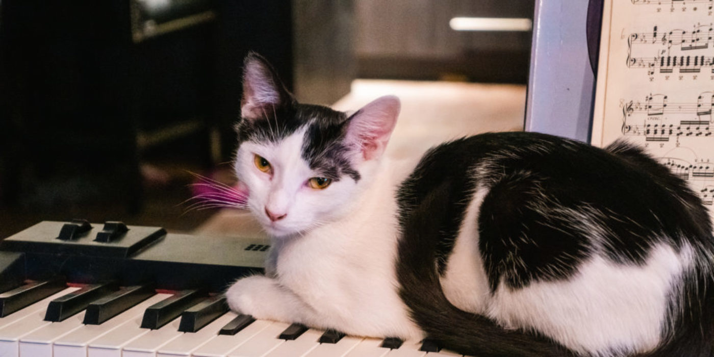 Mamas on the Piano